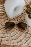 American Bonfire Hollywood Sunglasses in Gradient Brown