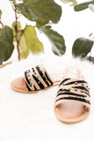 Matisse Salty Sandals in Zebra